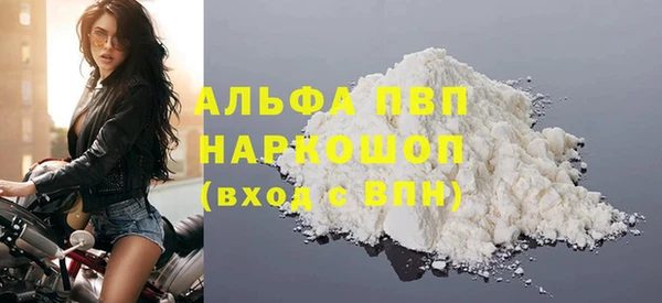 гидра Михайловка
