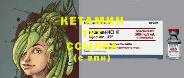 гидра Михайловка