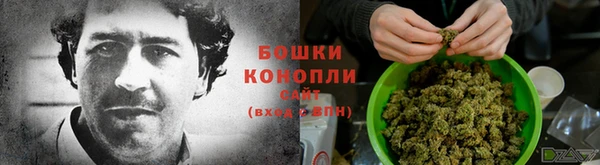 гидра Михайловка
