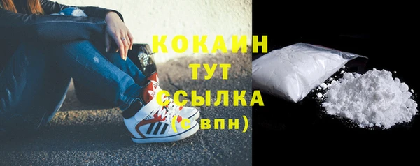 шишки Михайлов