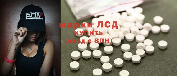 гидра Михайловка