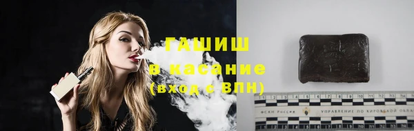 гидра Михайловка