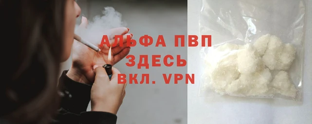 гидра Михайловка