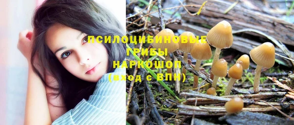 шишки Михайлов