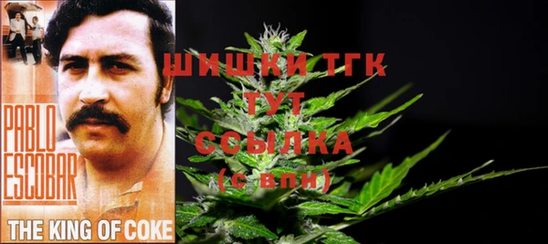 шишки Михайлов