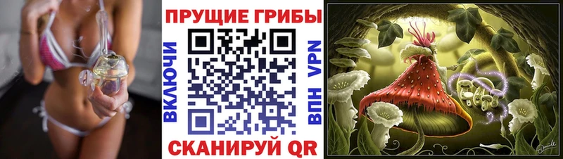 как найти   Голицыно  Галлюциногенные грибы GOLDEN TEACHER 